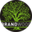 Логотип компании Brandwood