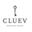 Логотип компании CLUEV Moscow