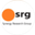 Логотип компании Synergy Research Group
