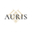 Логотип компании Auris Jewellery