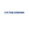 Логотип компании DiClinic