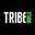 Логотип компании Трайб