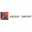 Логотип компании Асент-Импорт
