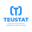 Логотип компании TEUSTAT