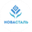 Логотип компании Новасталь