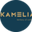 Логотип компании KAMELIA