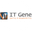 Логотип компании IT Gene
