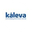 Логотип компании Kaleva