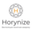 Логотип компании Horynize