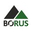 Логотип компании Борус