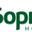 Логотип компании Борвиха Hotel&Spa