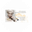 Логотип компании Francheska