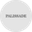 Логотип компании PALISSADE