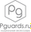 Логотип компании Pguards.ru
