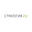 Логотип компании Стратегия 21