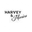 Логотип компании Harvey&Monica