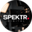 Логотип компании Spektr Digital