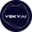 Логотип компании Vsky.ai
