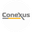 Логотип компании Конексус