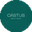 Логотип компании CÁSTUS