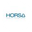 Логотип компании Horsa Technologies