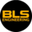 Логотип компании BLS Engineering