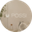 Логотип компании POSSI