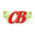 Логотип компании Стэлс