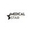 Логотип компании Medical Star