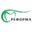 Логотип компании РЕФОРМА-ДЕНТ