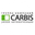 Логотип компании CARBIS