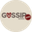 Логотип компании GossipEng school