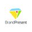 Логотип компании BrandPresent