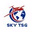 Логотип компании СКАЙ-Т.С.Г.