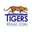 Логотип компании Tigers Realm Coal