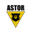 Логотип компании ASTOR