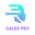 Логотип компании Galex pro