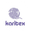 Логотип компании Каритекс Рус