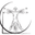 Логотип компании DaVinci Consulting Solutions