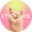 Логотип компании Stranke