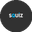 Логотип компании Squiz. Интеллектуальная игра