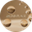 Логотип компании ELIXIRPLACE