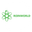 Логотип компании Roin World FZE
