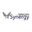 Логотип компании Synergy Telecom