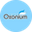 Логотип компании Оксоний