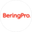 Логотип компании BeringPro