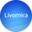 Логотип компании Livornica