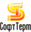 company logo
