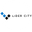 Логотип компании LIDER CITY