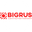 Логотип компании Бигрус